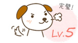Lv.5のイメージ